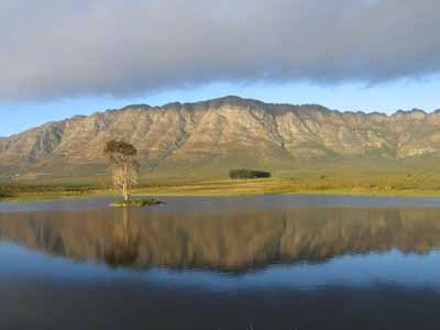 Peace and tranquility
